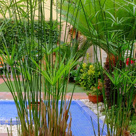 Silver Hotel Barcelona