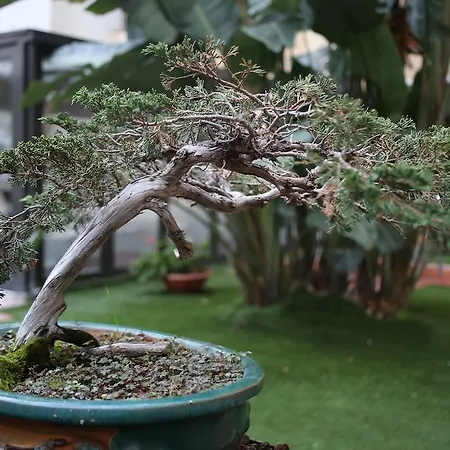 Hotell Silver Barcelona