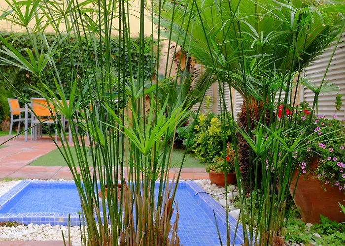 白银公寓式酒店 酒店 巴塞罗那