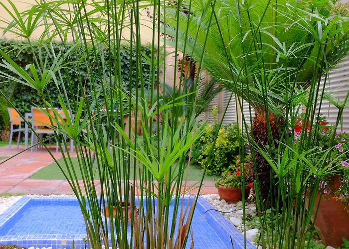 酒店 白银公寓式酒店