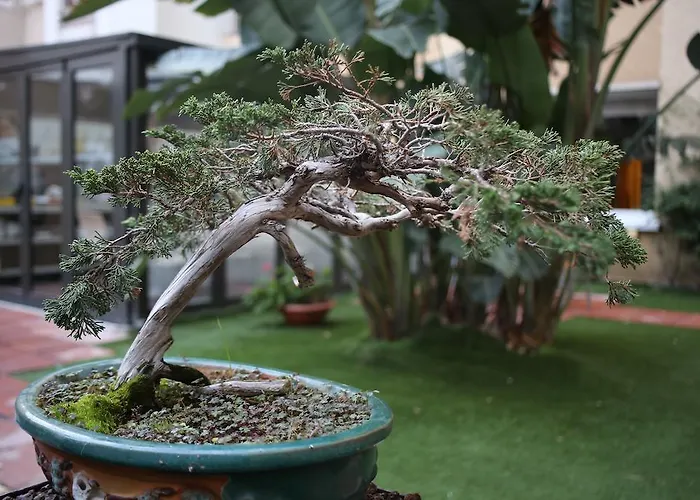 酒店 白银公寓式酒店 巴塞罗那