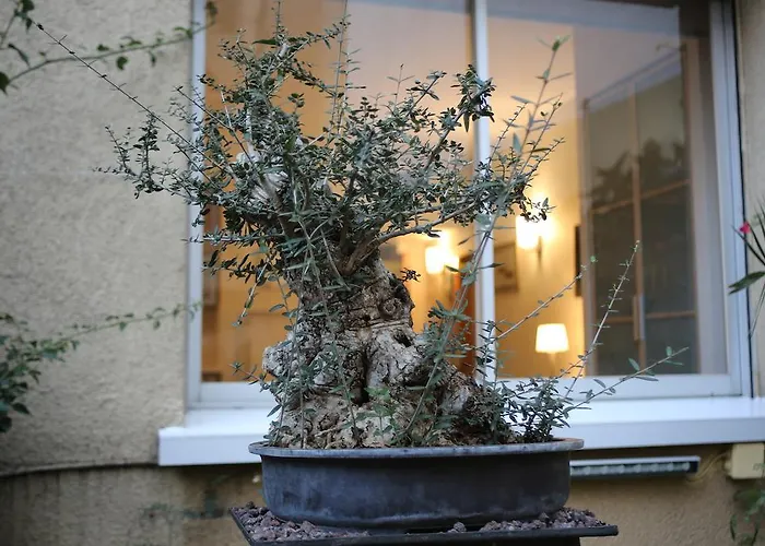 酒店 白银公寓式酒店 3*