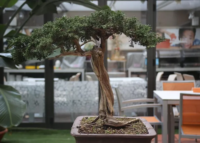 酒店 白银公寓式酒店